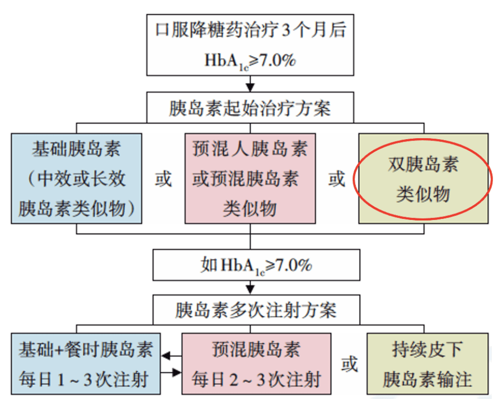 新澳門資料大全正版資料,新澳門資料大全正版資料，深度解讀與探索