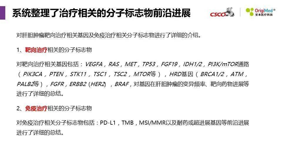 2025年新澳精準(zhǔn)資料免費提供網(wǎng)站,探索未來，2025年新澳精準(zhǔn)資料免費提供的網(wǎng)站展望