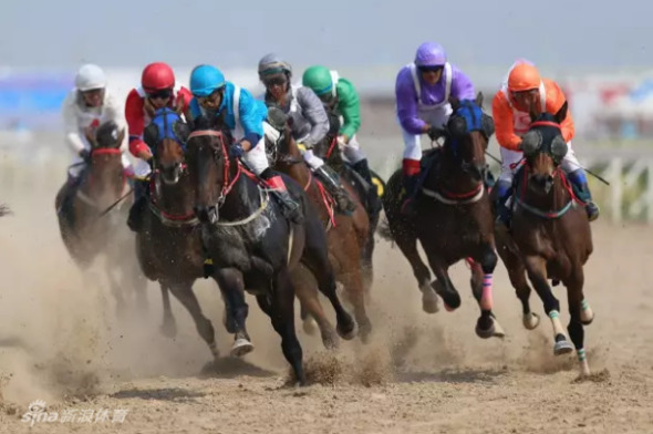 澳門今晚開特馬四不像圖,澳門今晚開特馬四不像圖——探索澳門賽馬文化的獨特魅力