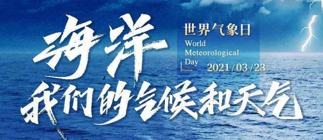 494949澳門今晚開什么,探索澳門今晚的開彩奧秘，494949的魅力與預(yù)測