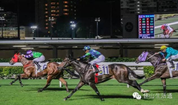 香港最準馬會資料免費,香港最準馬會資料免費，探索賽馬世界的秘密