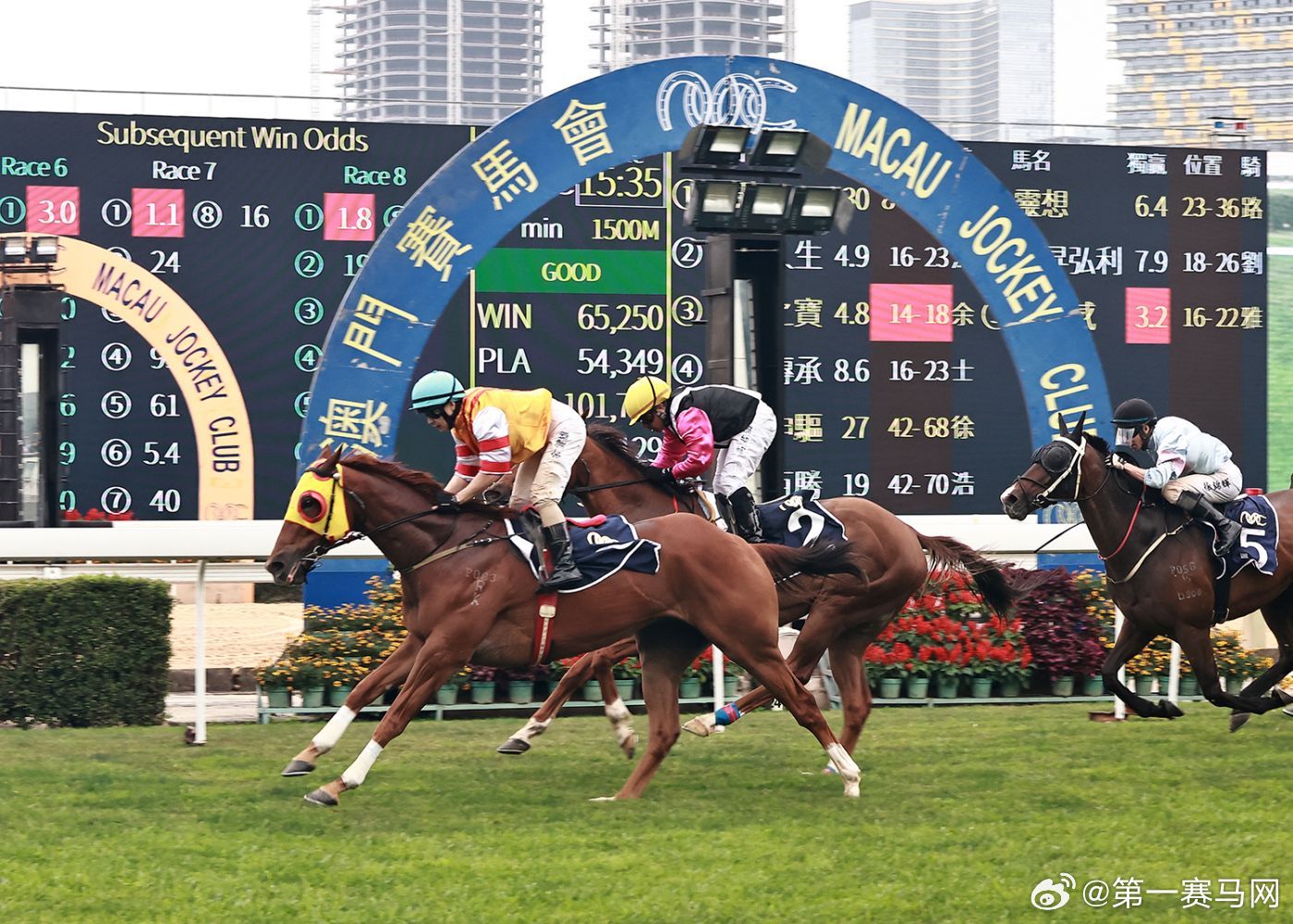 澳門馬會傳真-澳門,澳門馬會傳真，探索賽馬文化的魅力