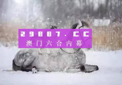 澳門二四六精準(zhǔn)大全,澳門二四六精準(zhǔn)大全，探索與解讀