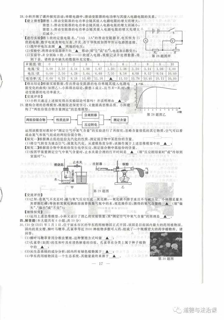 王中王王中王免費資料一136期 03-07-09-13-20-36C：11,王中王王中王免費資料一第136期深度解析與探索，揭秘數字背后的秘密故事