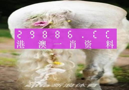 今晚一肖一碼澳門一肖四不像024期 01-07-32-34-39-43B：02,今晚一肖一碼澳門一肖四不像024期揭秘與探索，數(shù)字背后的神秘面紗