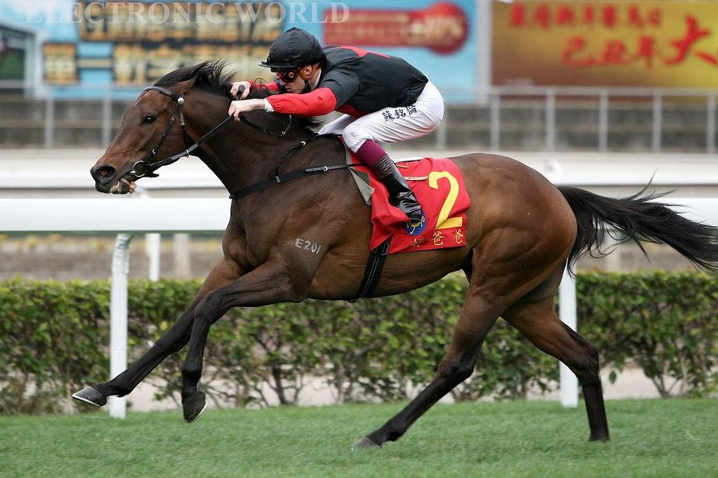 香港最準馬會資料免費026期 22-27-10-37-39-46T：17,香港最準馬會資料免費第026期深度解析，數(shù)字背后的秘密與策略探討